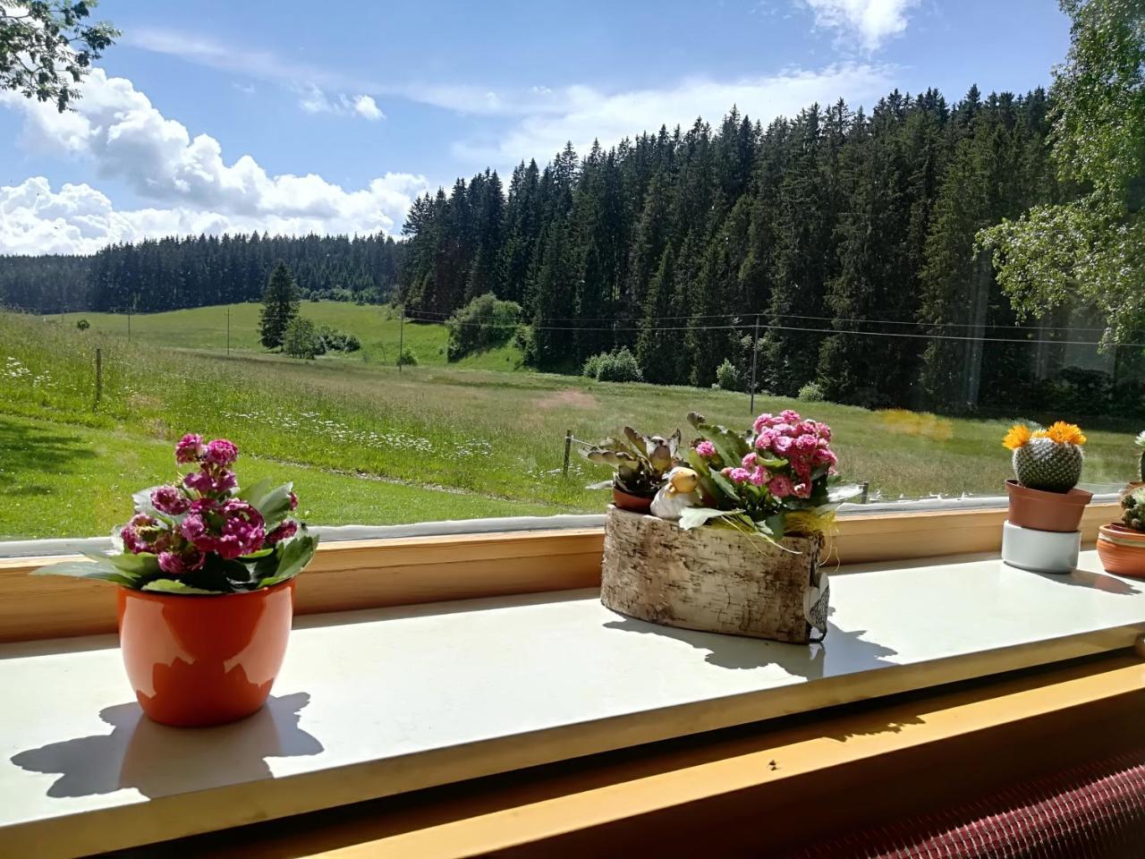 Hotel Kaltenbach Schönwalde Exterior foto